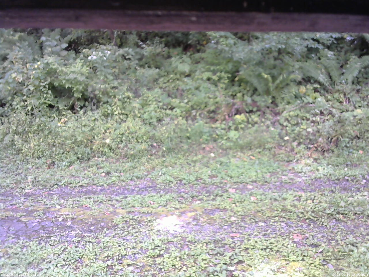 長野県菅平高原 ゆたか山荘 東側(坂下) 2026/09/19 12:45