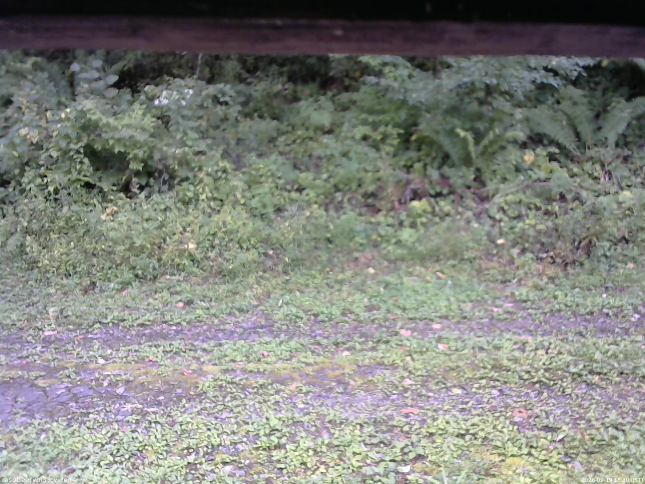 長野県菅平高原 ゆたか山荘 東側(坂下) 2026/09/19 13:30
