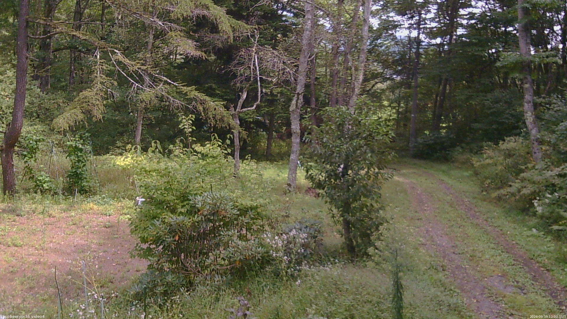 長野県菅平高原 ゆたか山荘 坂上 2026/09/19 12:00
