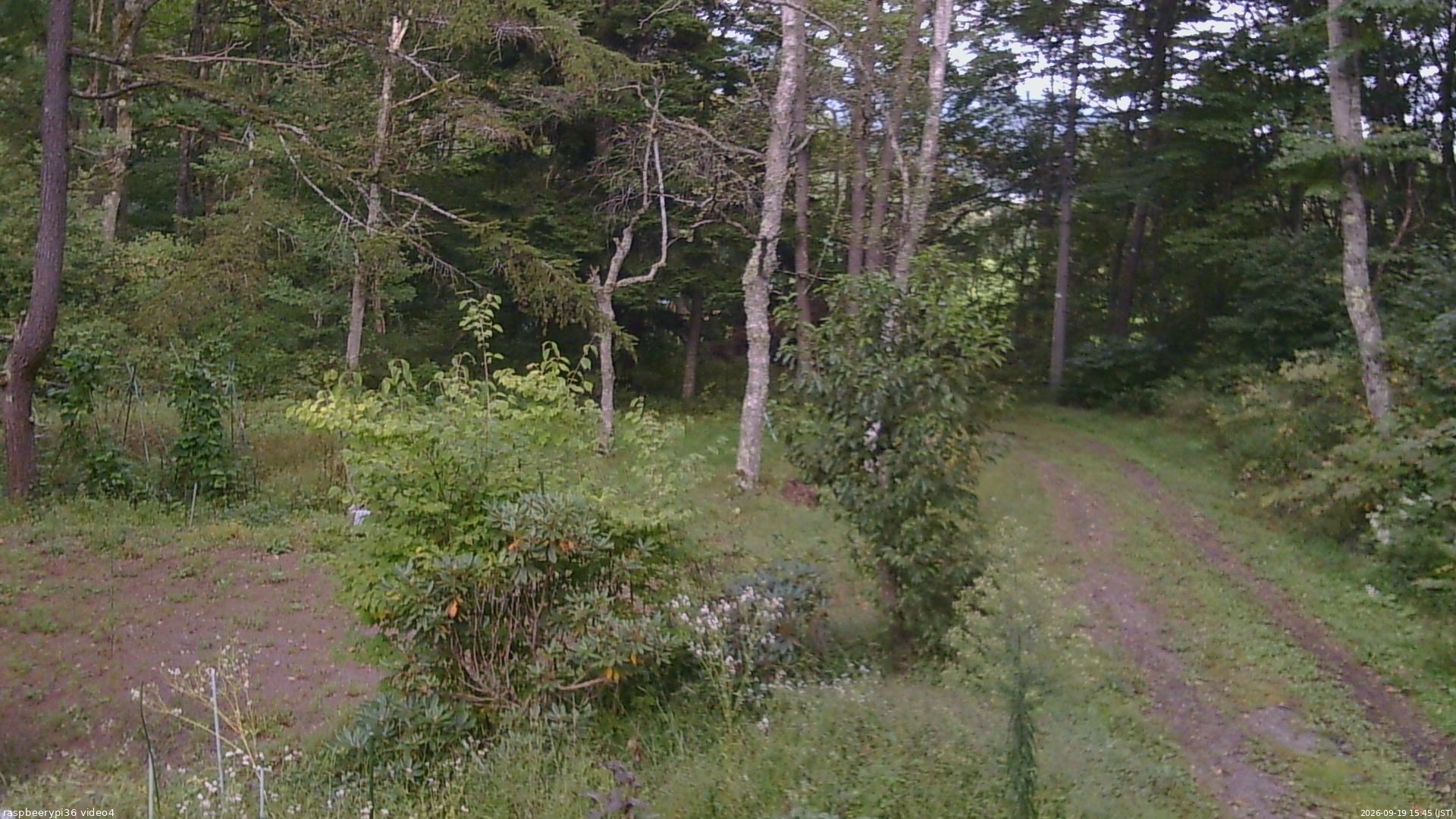 長野県菅平高原 ゆたか山荘 坂上 2026/09/19 15:45