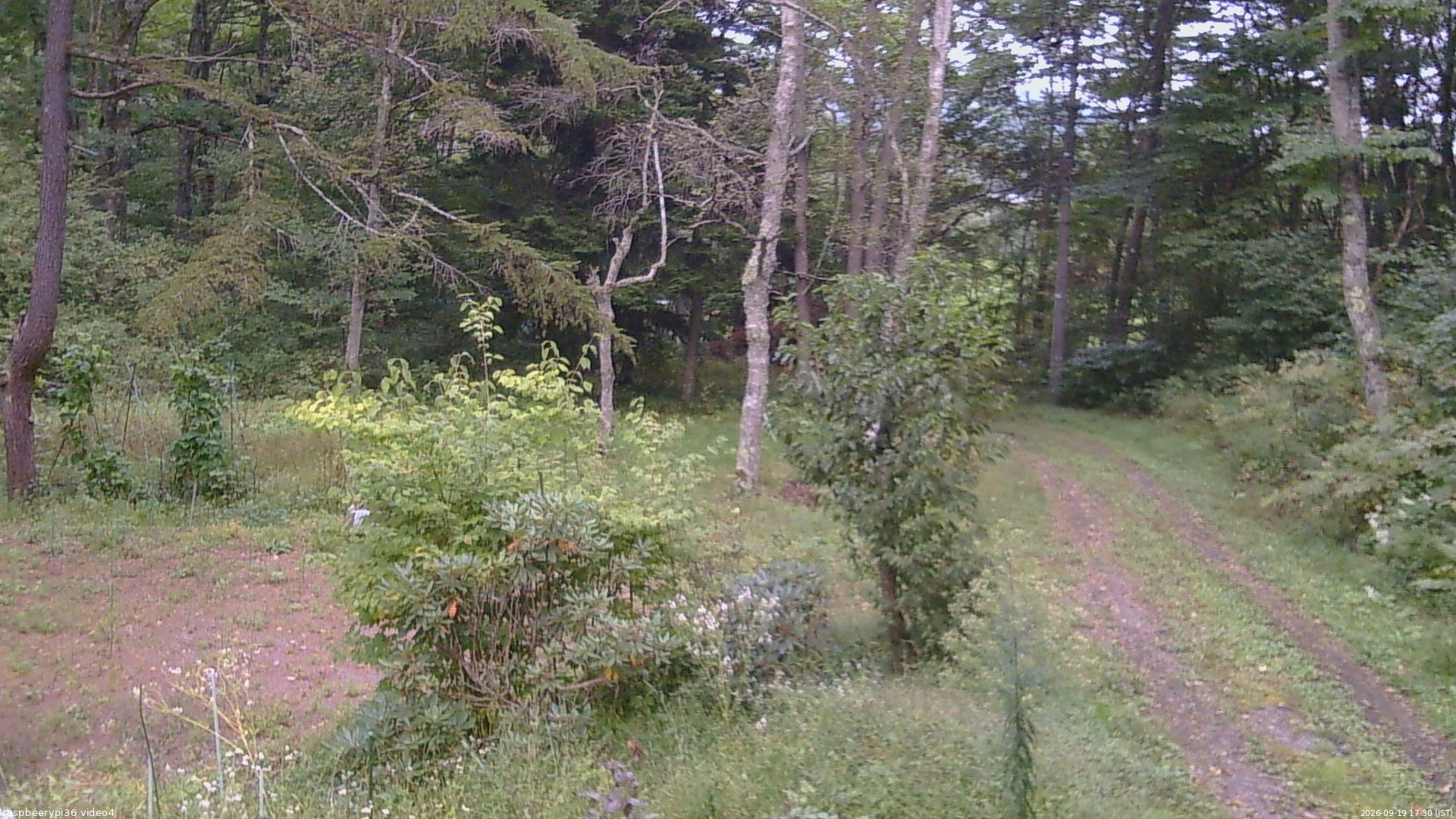 長野県菅平高原 ゆたか山荘 坂上 2026/09/19 17:30