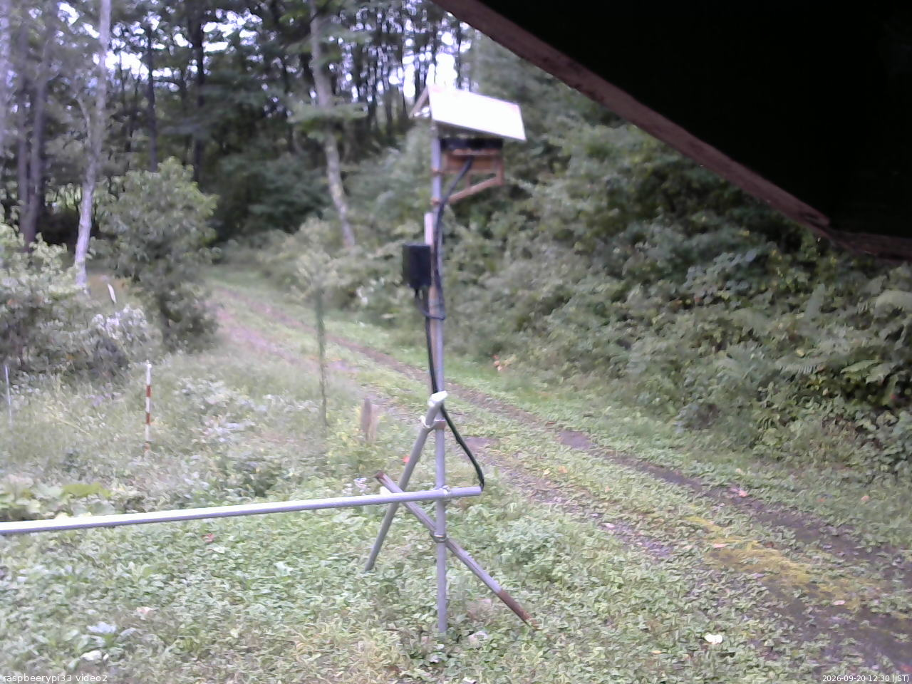 長野県菅平高原 ゆたか山荘 南側 2026/09/20 12:30