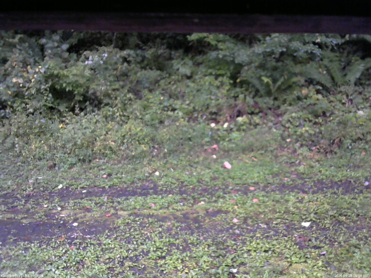 長野県菅平高原 ゆたか山荘 東側(坂下) 2026/09/20 06:00