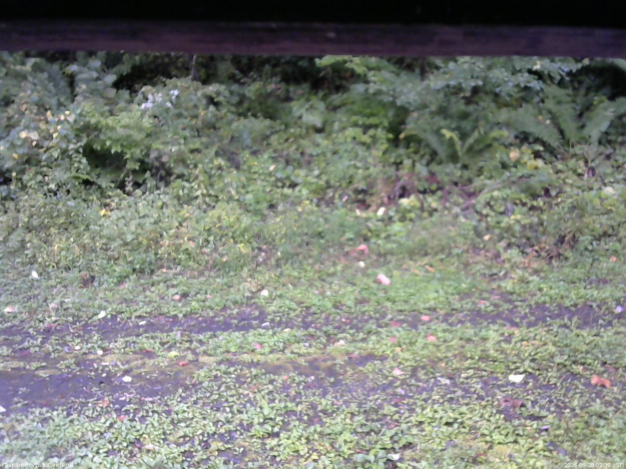 長野県菅平高原 ゆたか山荘 東側(坂下) 2026/09/20 07:30