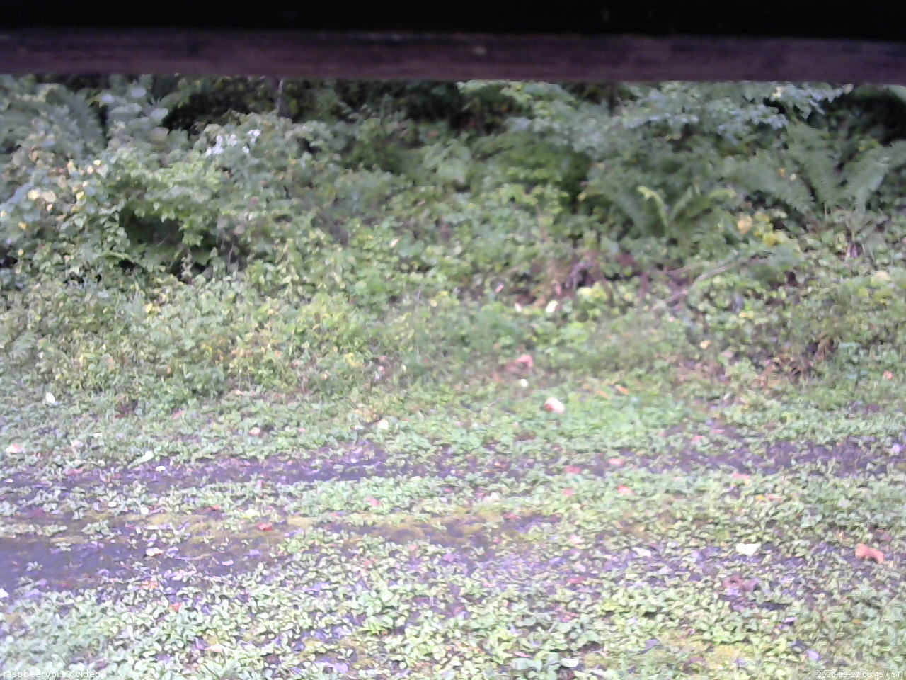 長野県菅平高原 ゆたか山荘 東側(坂下) 2026/09/20 08:45
