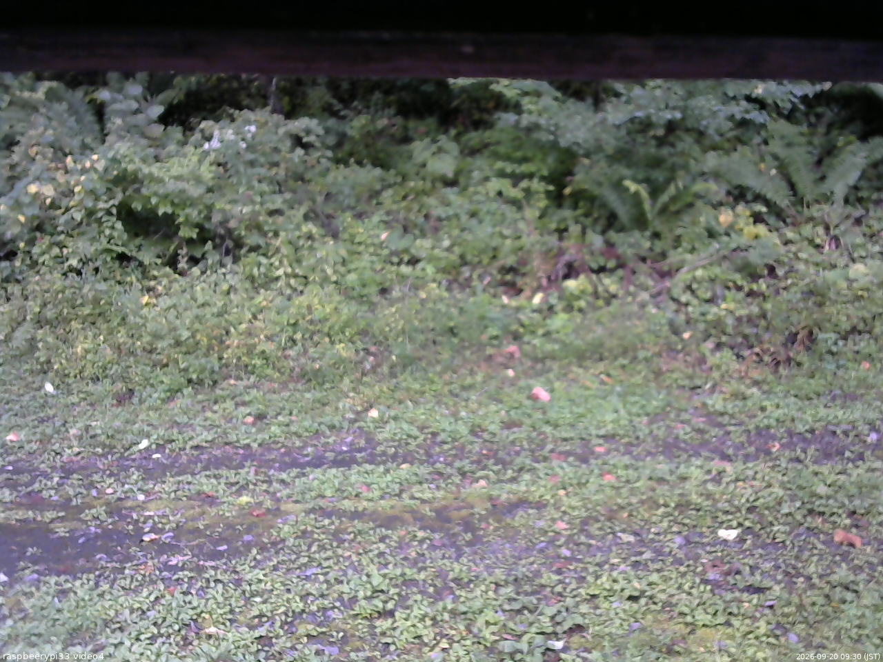 長野県菅平高原 ゆたか山荘 東側(坂下) 2026/09/20 09:30