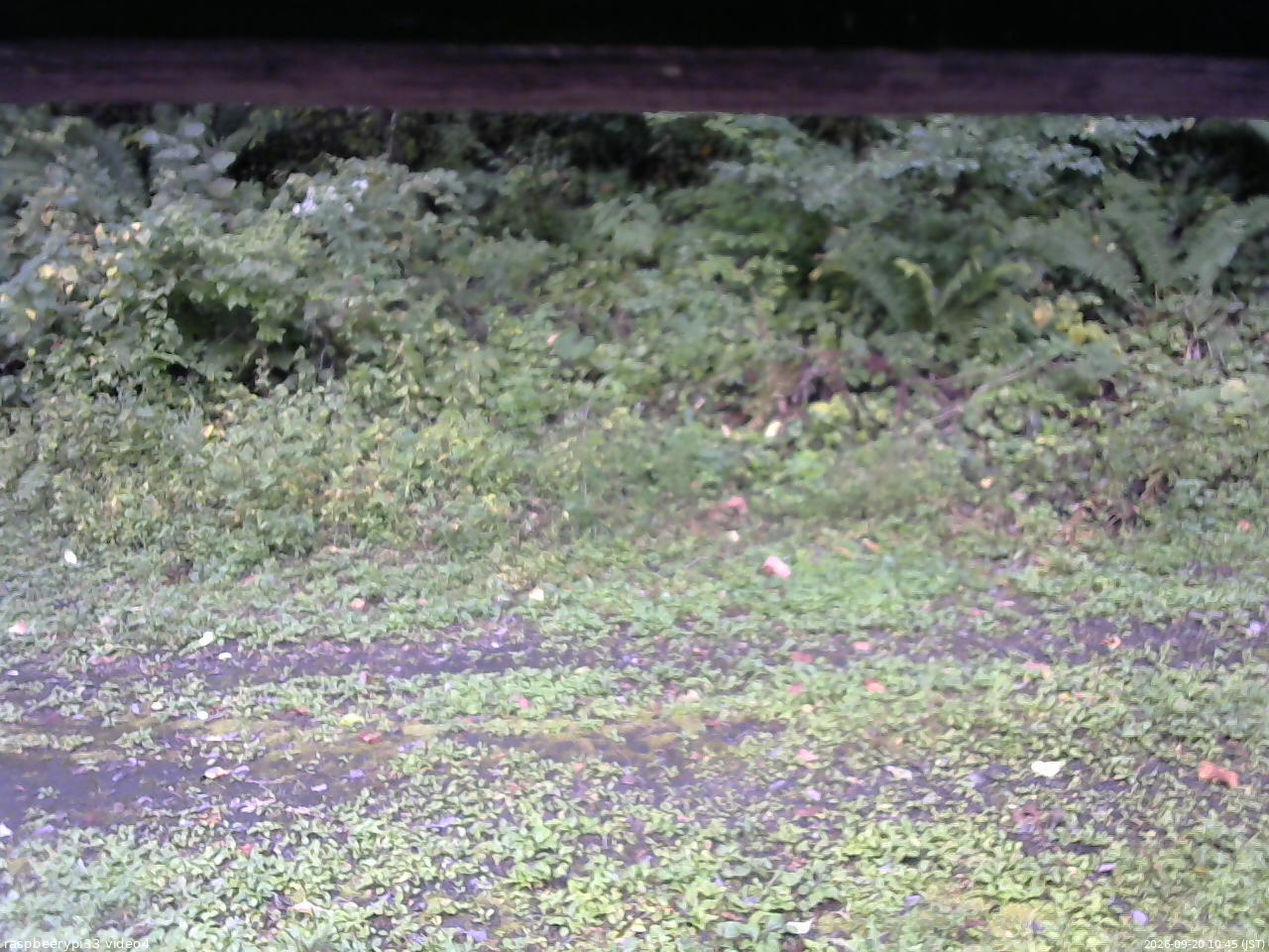 長野県菅平高原 ゆたか山荘 東側(坂下) 2026/09/20 10:45
