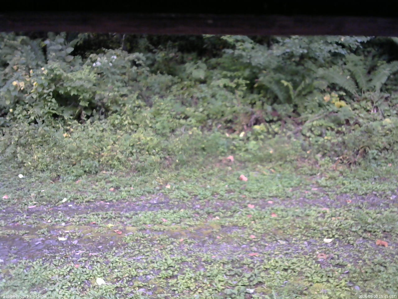 長野県菅平高原 ゆたか山荘 東側(坂下) 2026/09/20 15:45