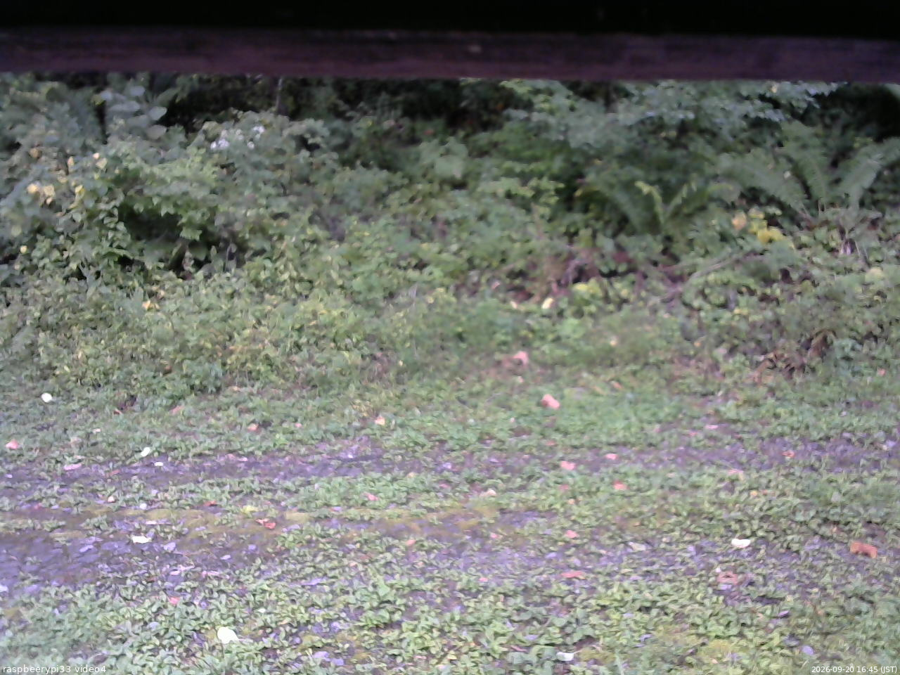 長野県菅平高原 ゆたか山荘 東側(坂下) 2026/09/20 16:45