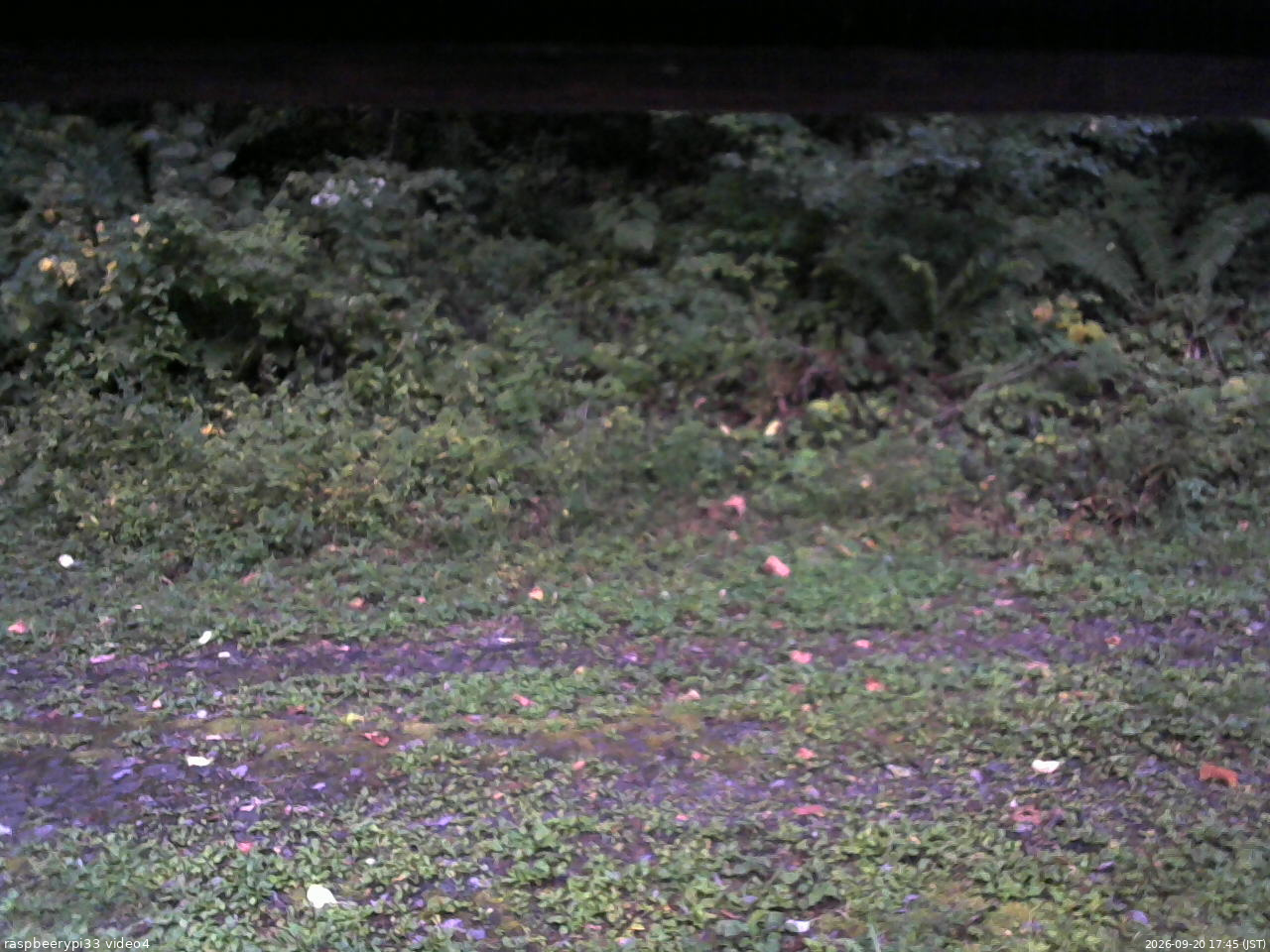 長野県菅平高原 ゆたか山荘 東側(坂下) 2026/09/20 17:45