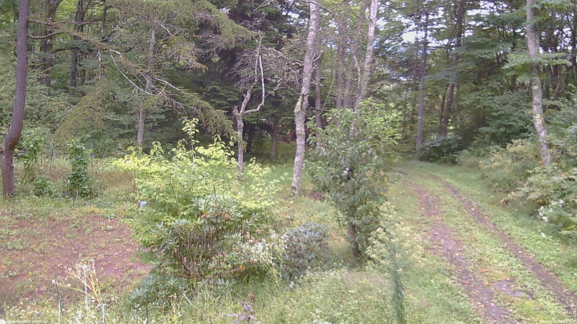 長野県菅平高原 ゆたか山荘 坂上 2026/09/20 08:45