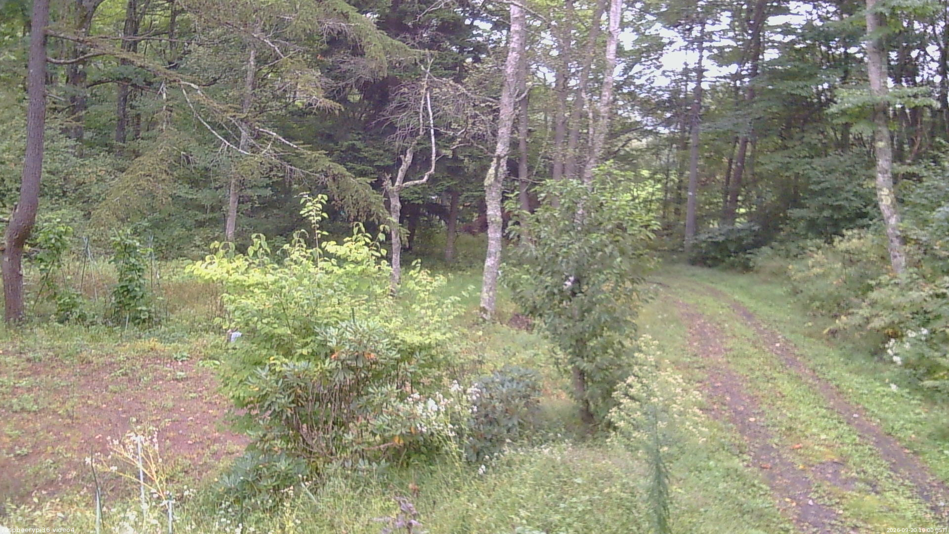 長野県菅平高原 ゆたか山荘 坂上 2026/09/20 10:00