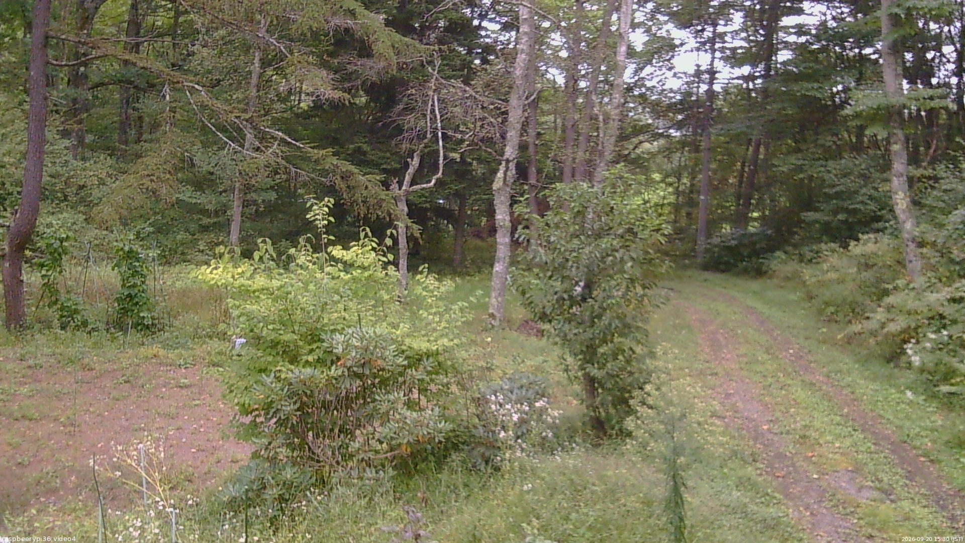 長野県菅平高原 ゆたか山荘 坂上 2026/09/20 15:30