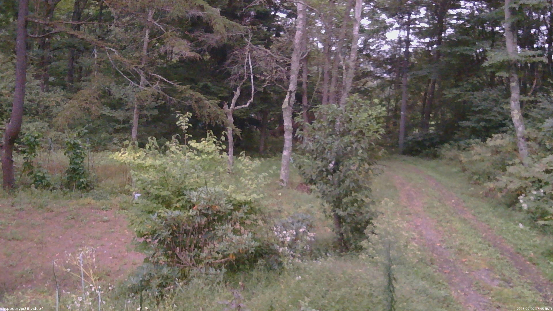 長野県菅平高原 ゆたか山荘 坂上 2026/09/20 17:45