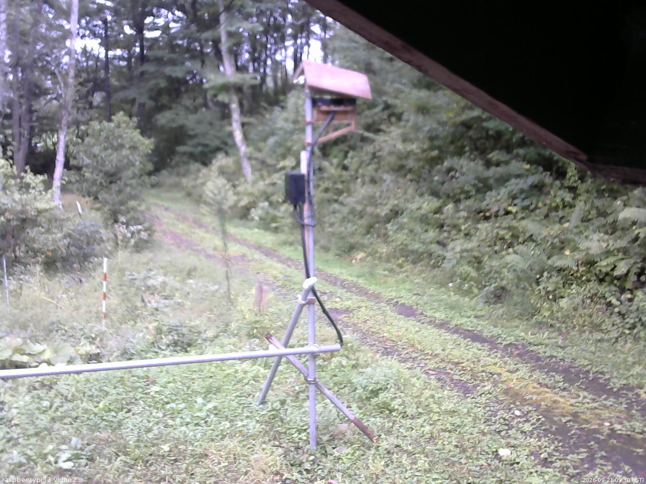 長野県菅平高原 ゆたか山荘 南側 2026/09/21 09:30