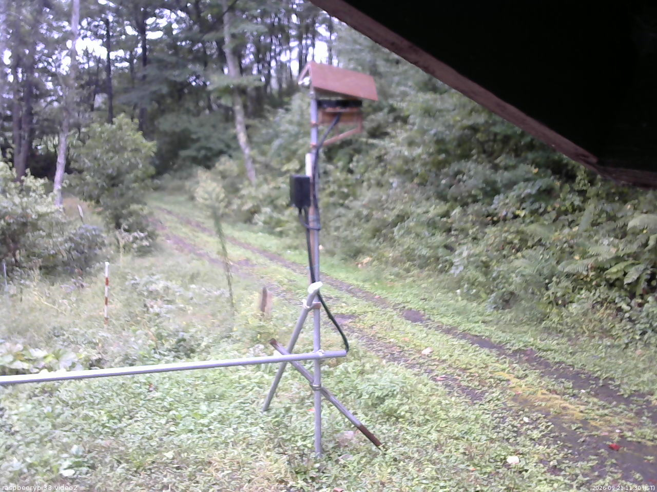 長野県菅平高原 ゆたか山荘 南側 2026/09/21 11:30