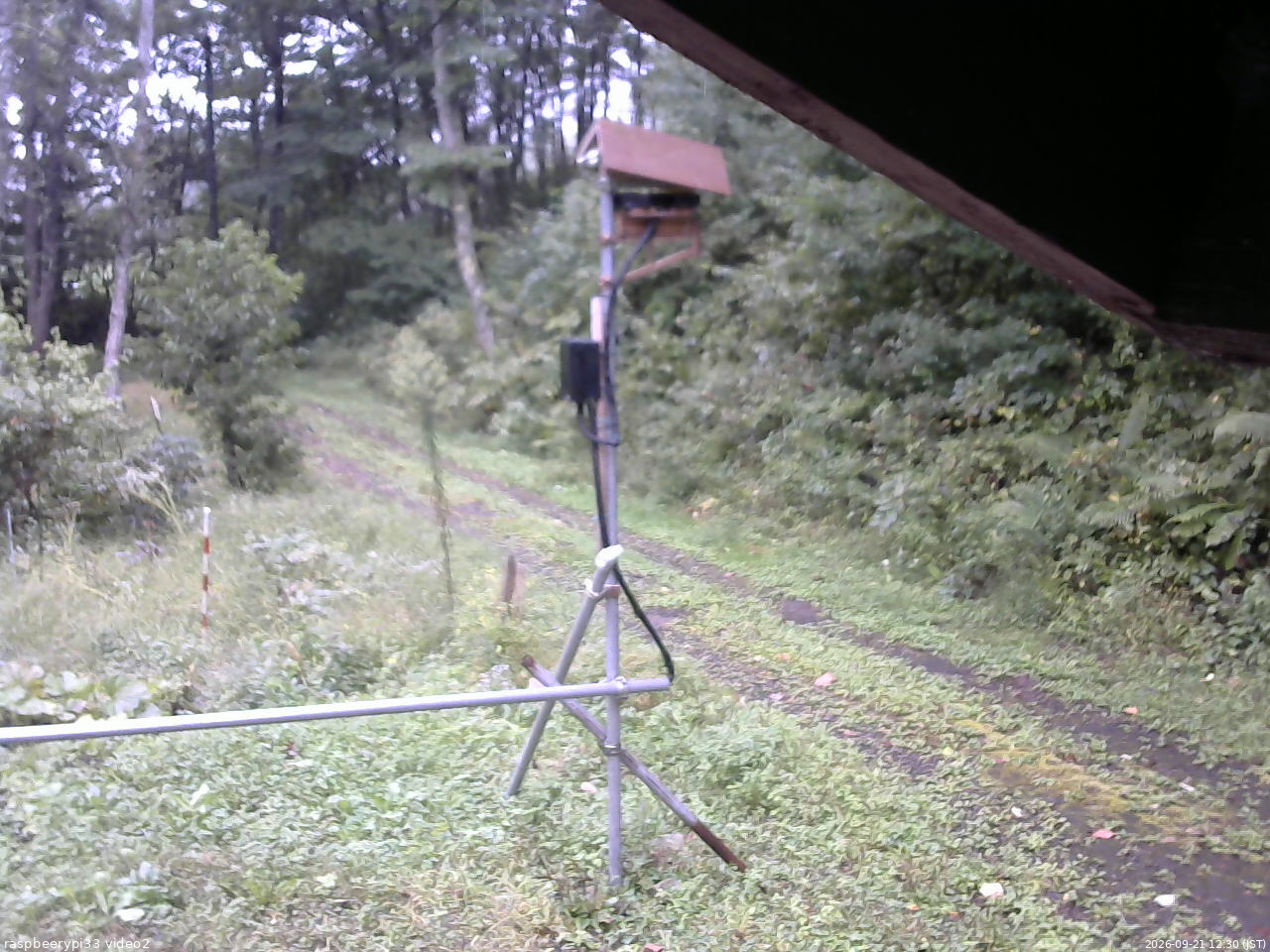 長野県菅平高原 ゆたか山荘 南側 2026/09/21 12:30