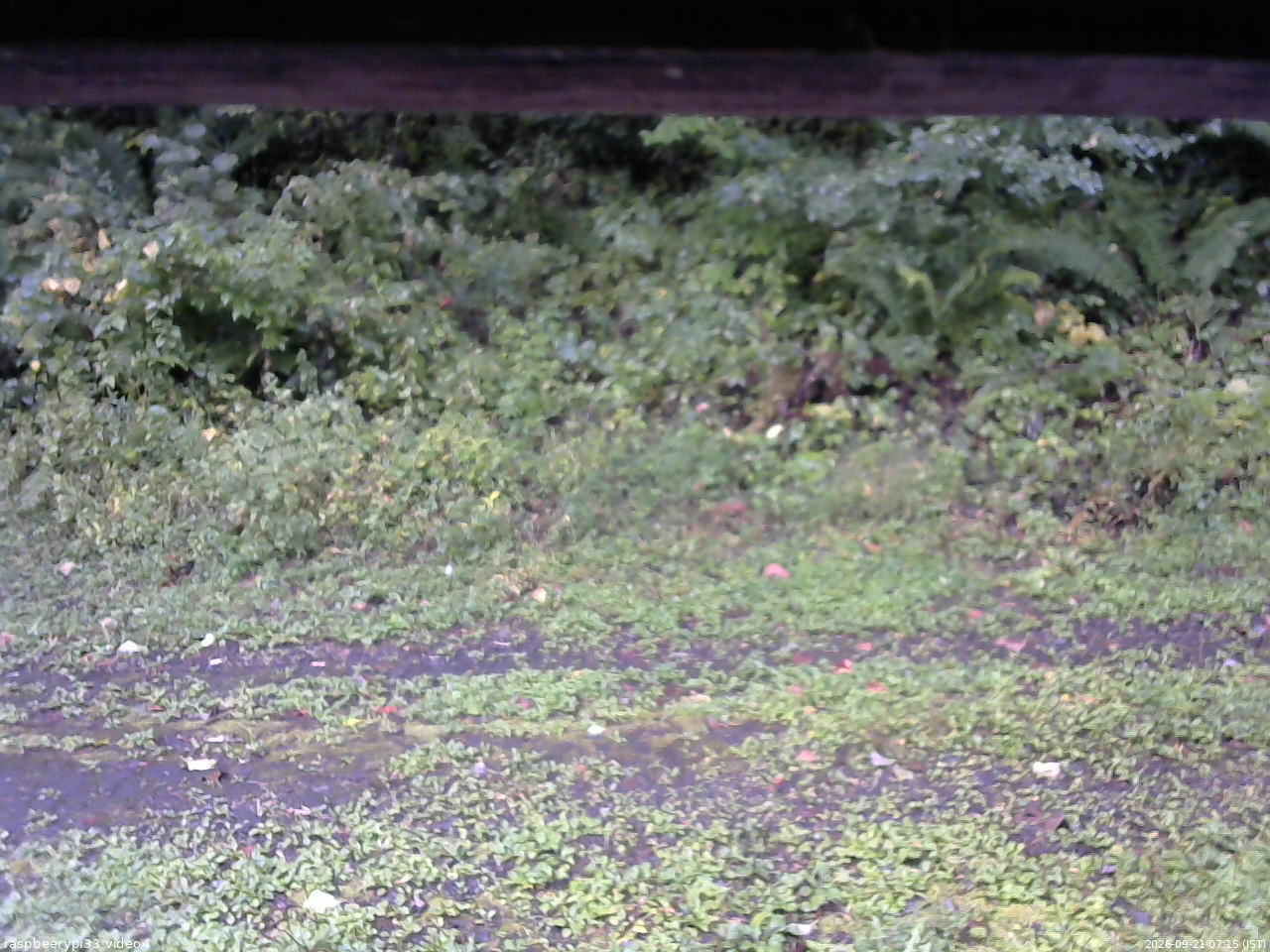 長野県菅平高原 ゆたか山荘 東側(坂下) 2026/09/21 07:15