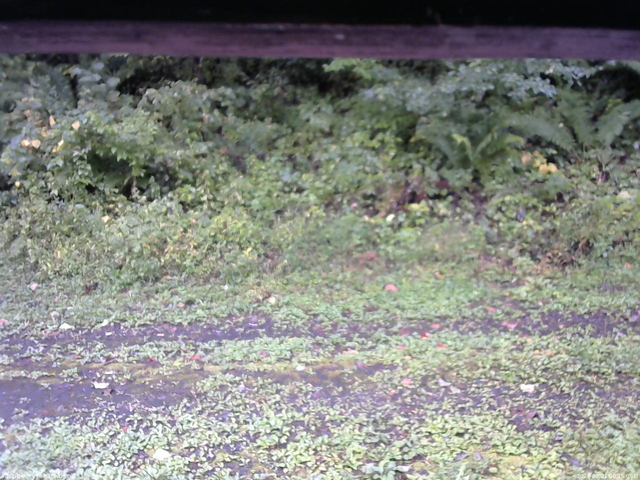 長野県菅平高原 ゆたか山荘 東側(坂下) 2026/09/21 08:15