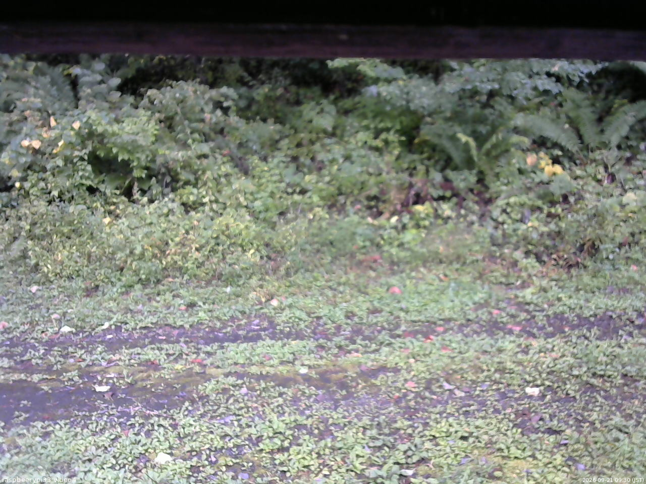 長野県菅平高原 ゆたか山荘 東側(坂下) 2026/09/21 09:30