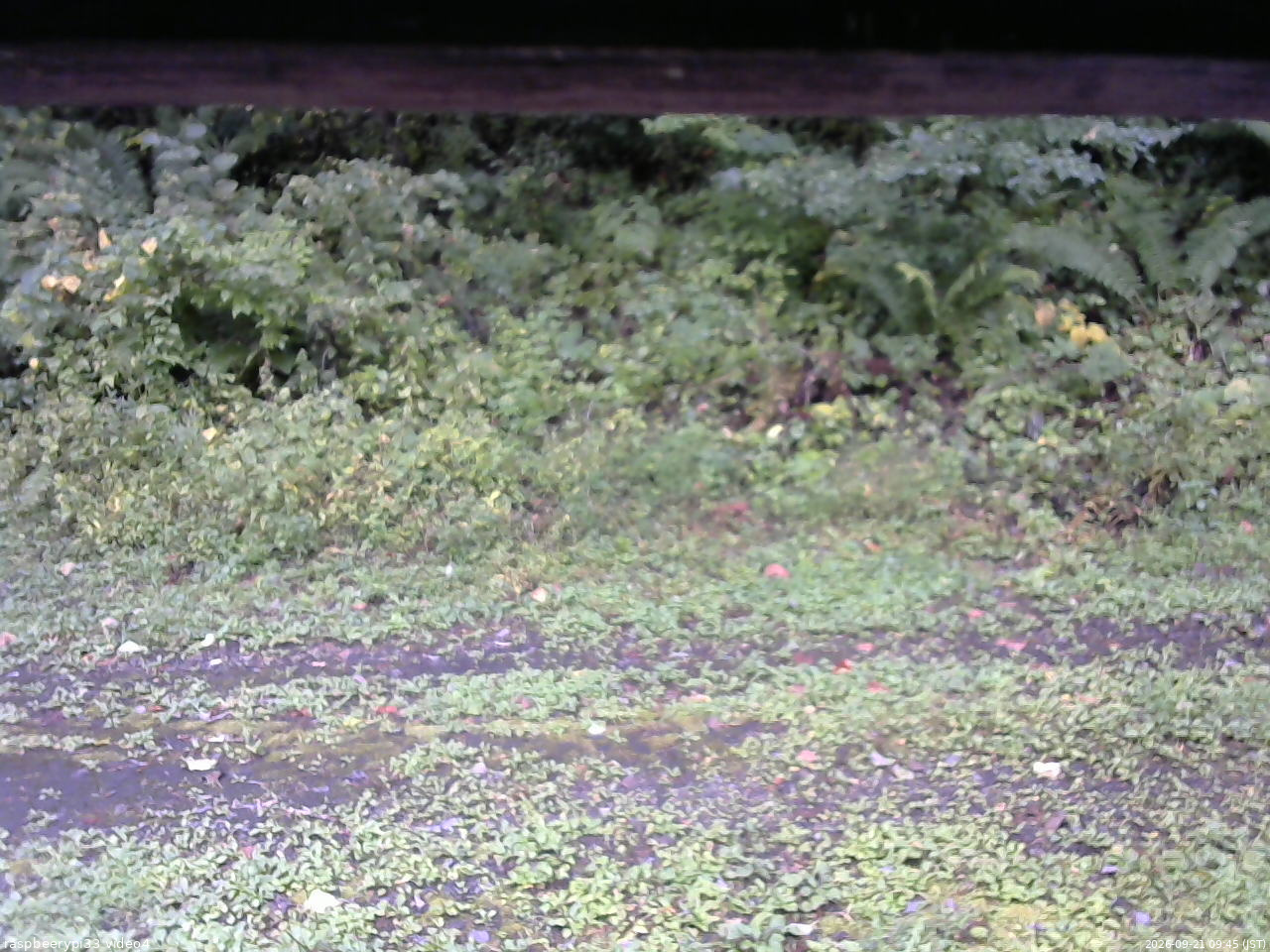 長野県菅平高原 ゆたか山荘 東側(坂下) 2026/09/21 09:45