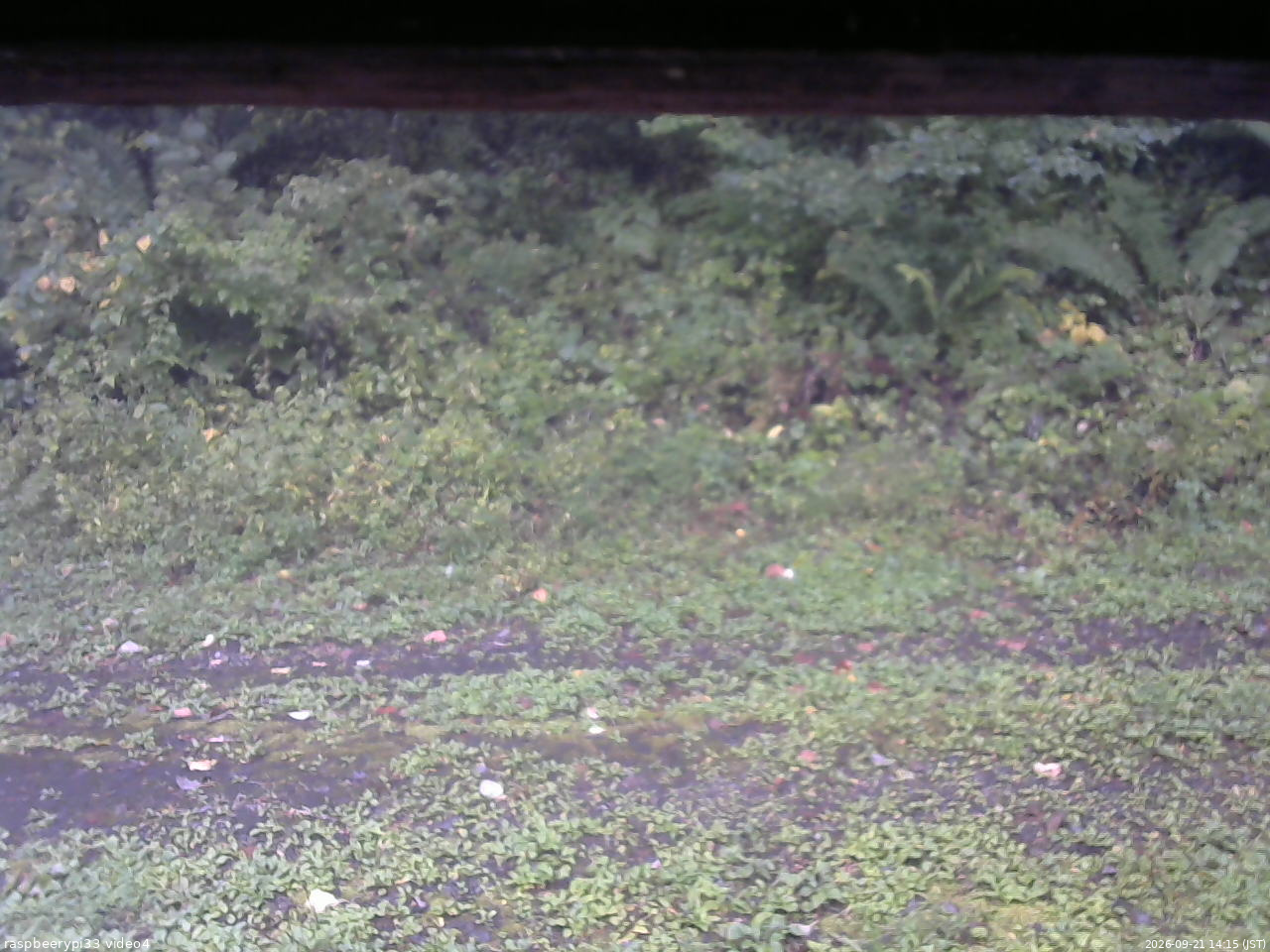 長野県菅平高原 ゆたか山荘 東側(坂下) 2026/09/21 14:15