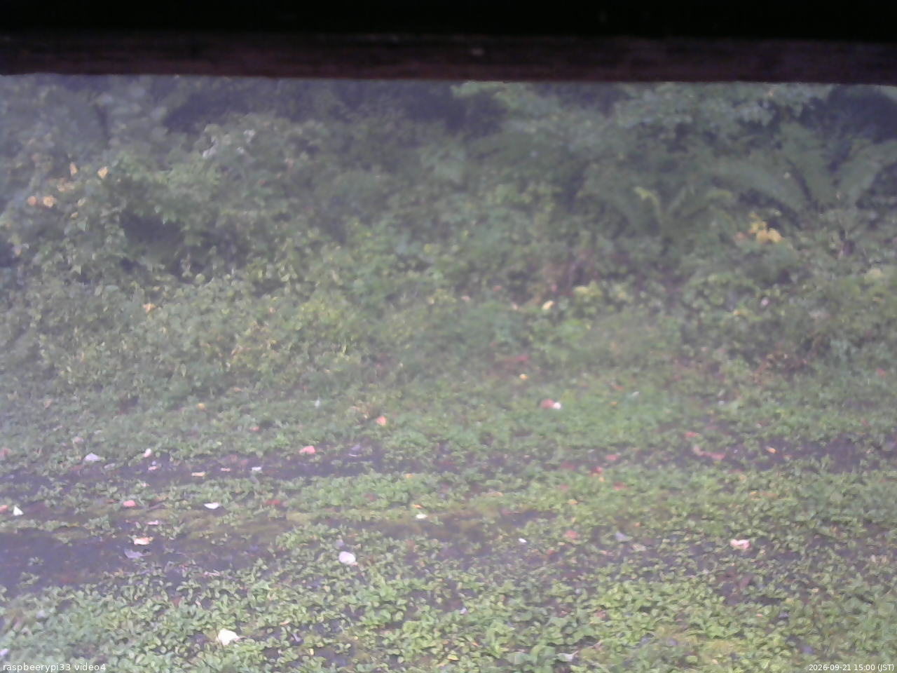 長野県菅平高原 ゆたか山荘 東側(坂下) 2026/09/21 15:00