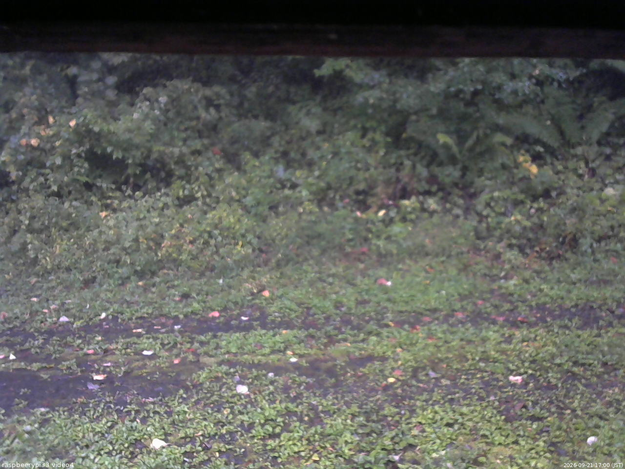 長野県菅平高原 ゆたか山荘 東側(坂下) 2026/09/21 17:00