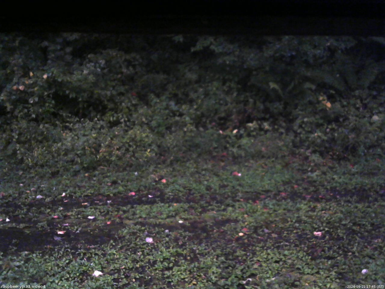 長野県菅平高原 ゆたか山荘 東側(坂下) 2026/09/21 17:45
