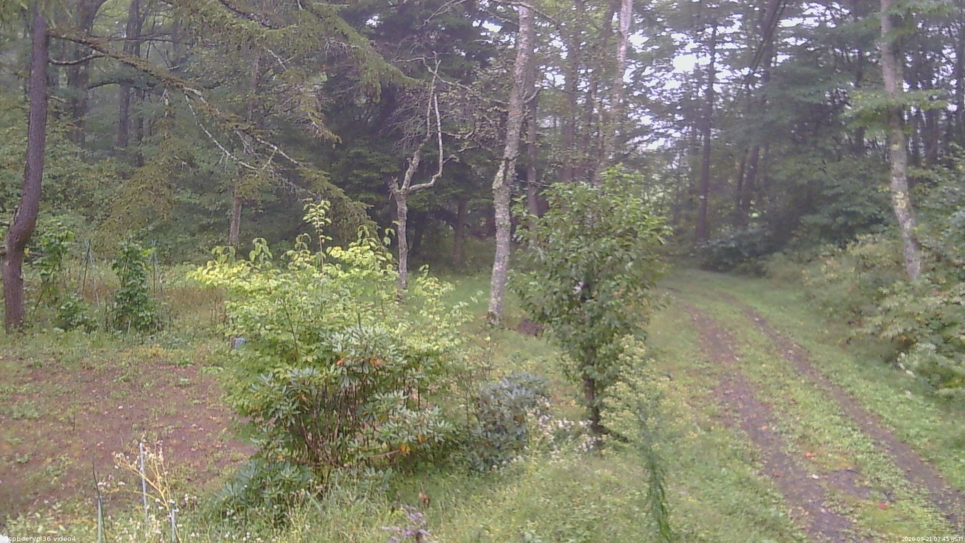 長野県菅平高原 ゆたか山荘 坂上 2026/09/21 07:45
