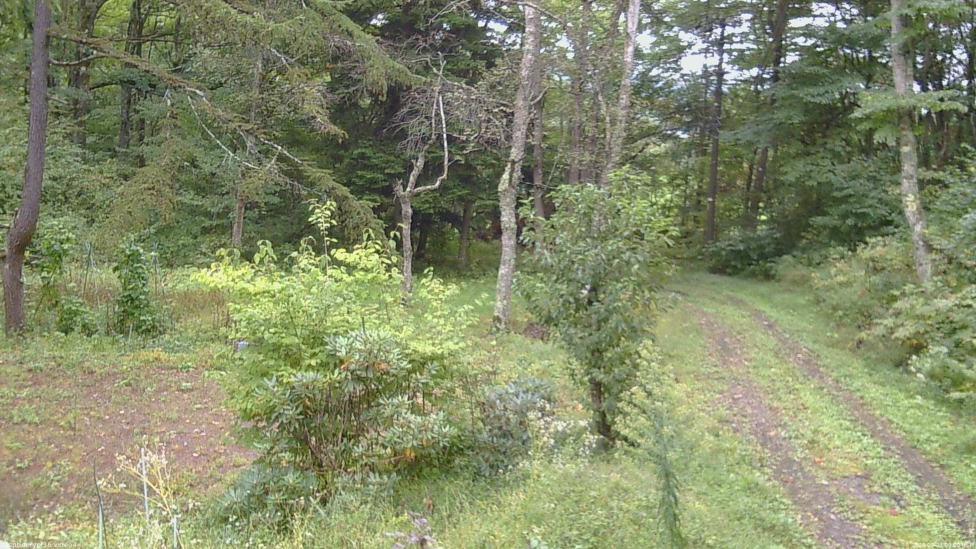 長野県菅平高原 ゆたか山荘 坂上 2026/09/21 09:00