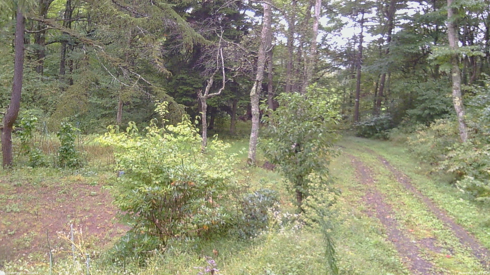 長野県菅平高原 ゆたか山荘 坂上 2026/09/21 10:45