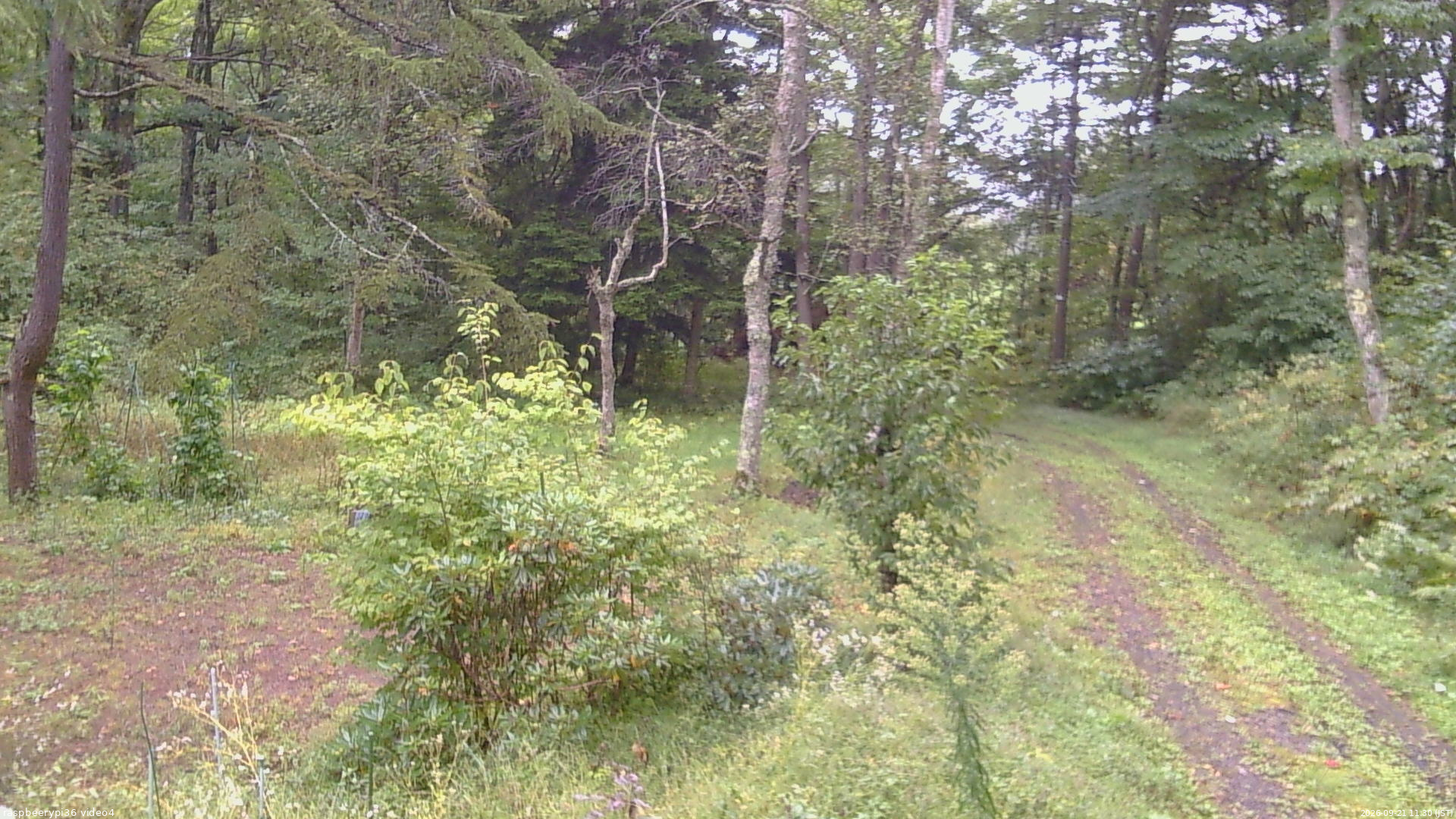 長野県菅平高原 ゆたか山荘 坂上 2026/09/21 11:30