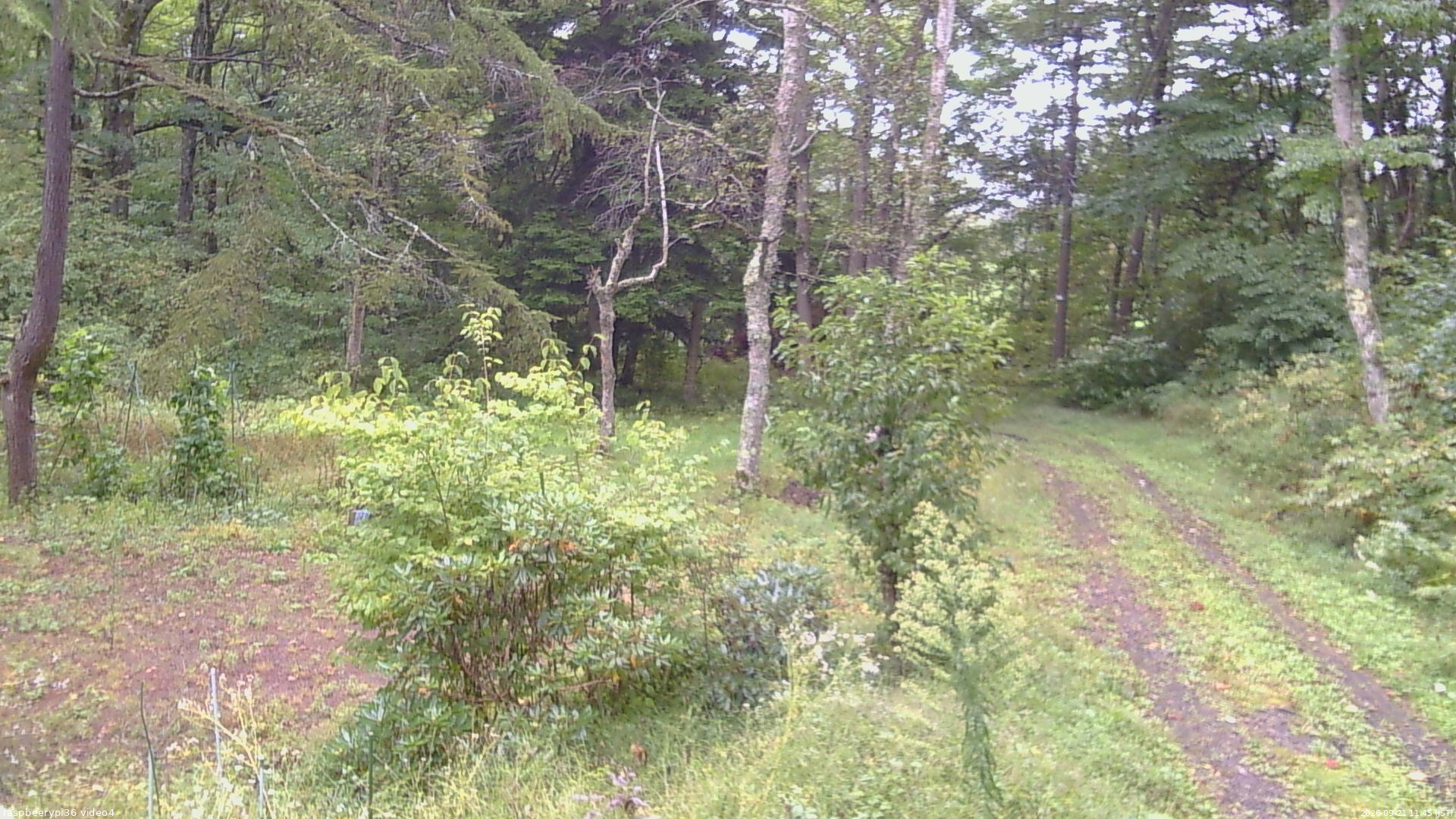 長野県菅平高原 ゆたか山荘 坂上 2026/09/21 11:45