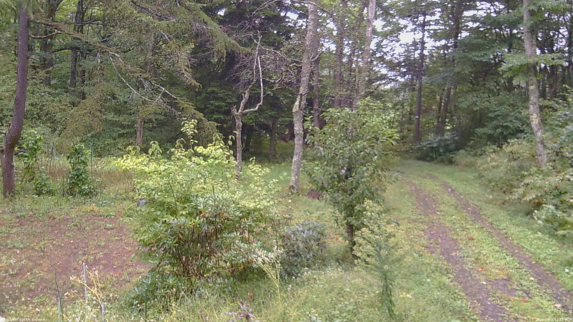 長野県菅平高原 ゆたか山荘 坂上 2026/09/21 12:30