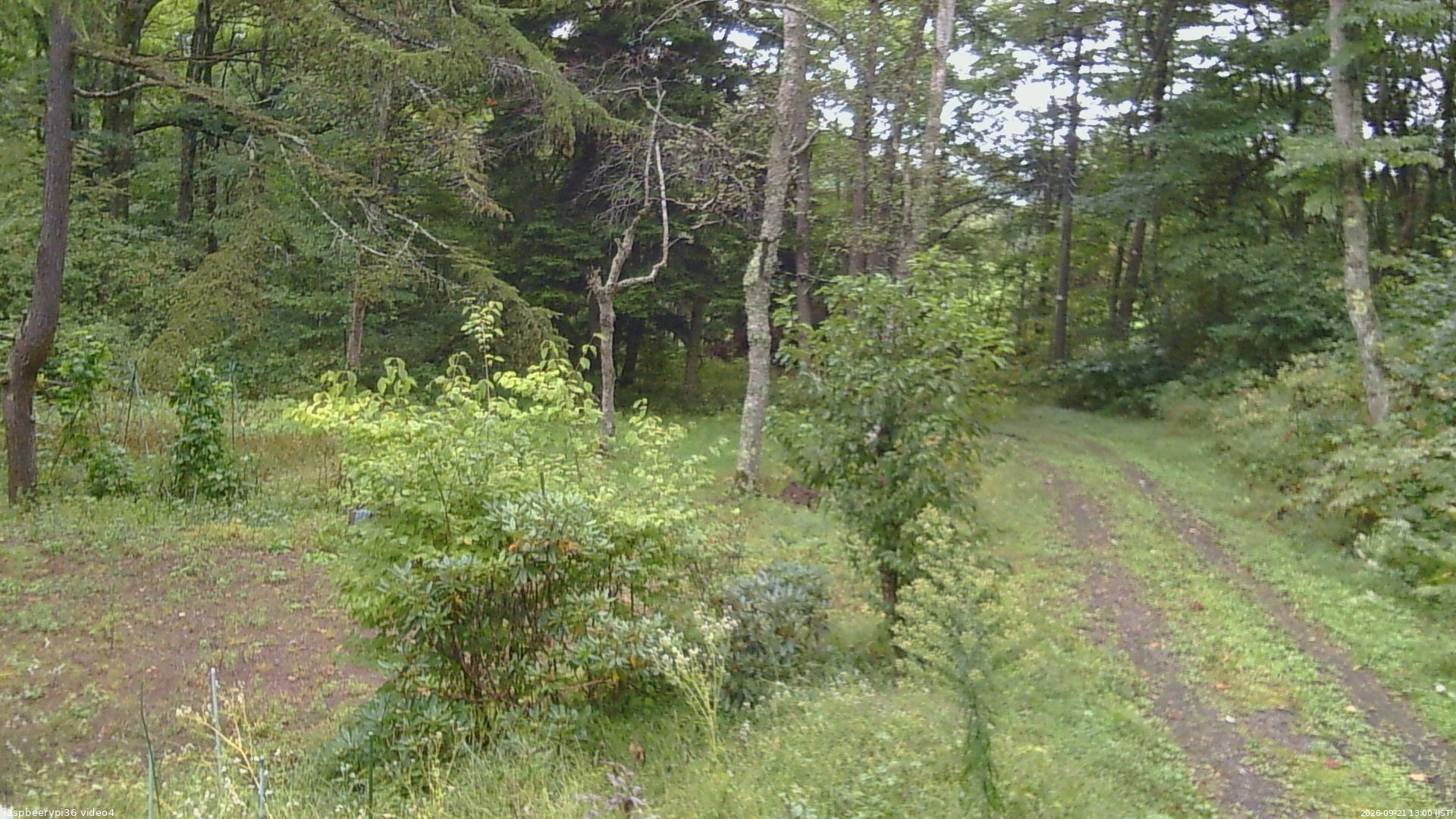 長野県菅平高原 ゆたか山荘 坂上 2026/09/21 13:00