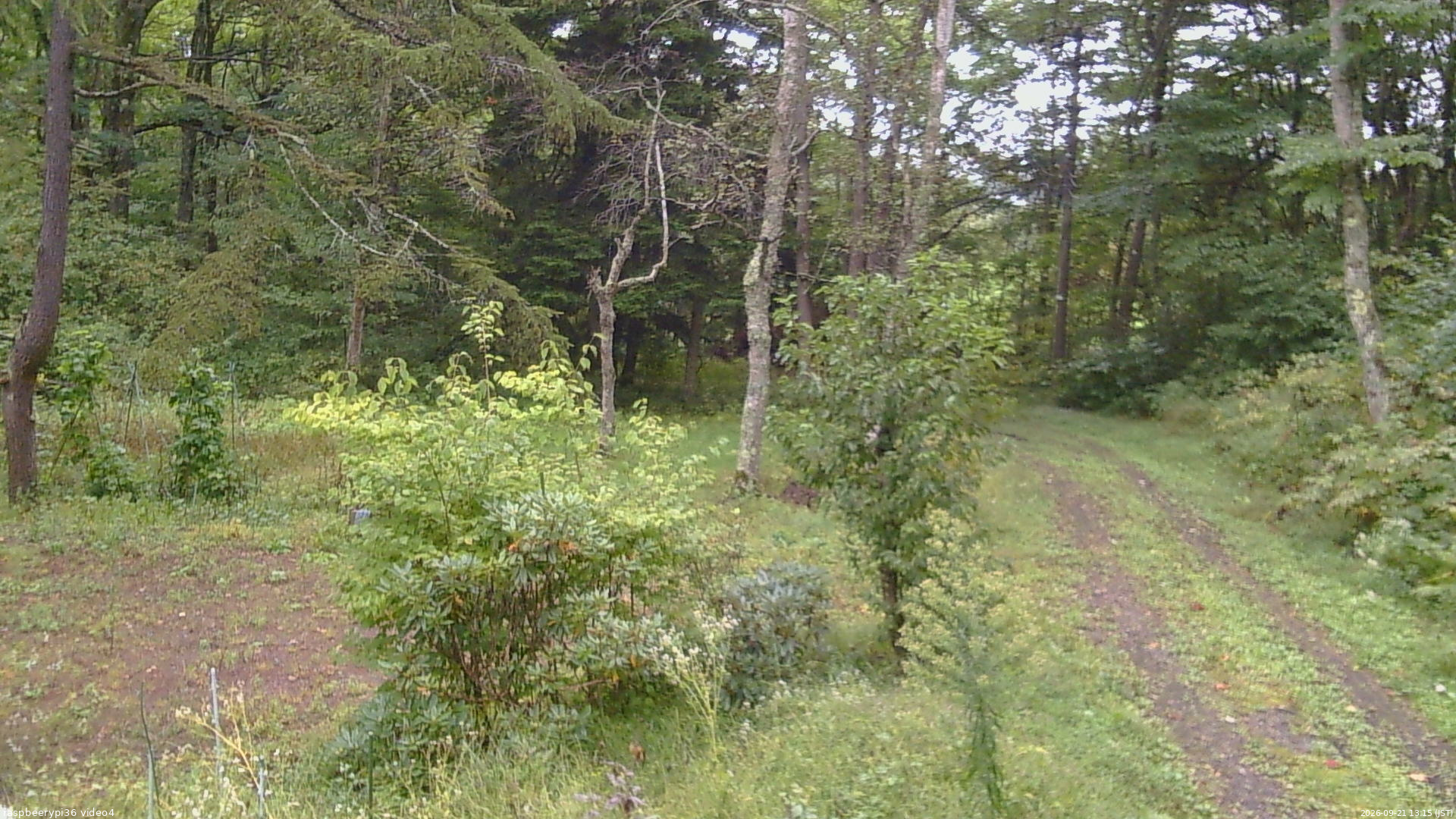 長野県菅平高原 ゆたか山荘 坂上 2026/09/21 13:15