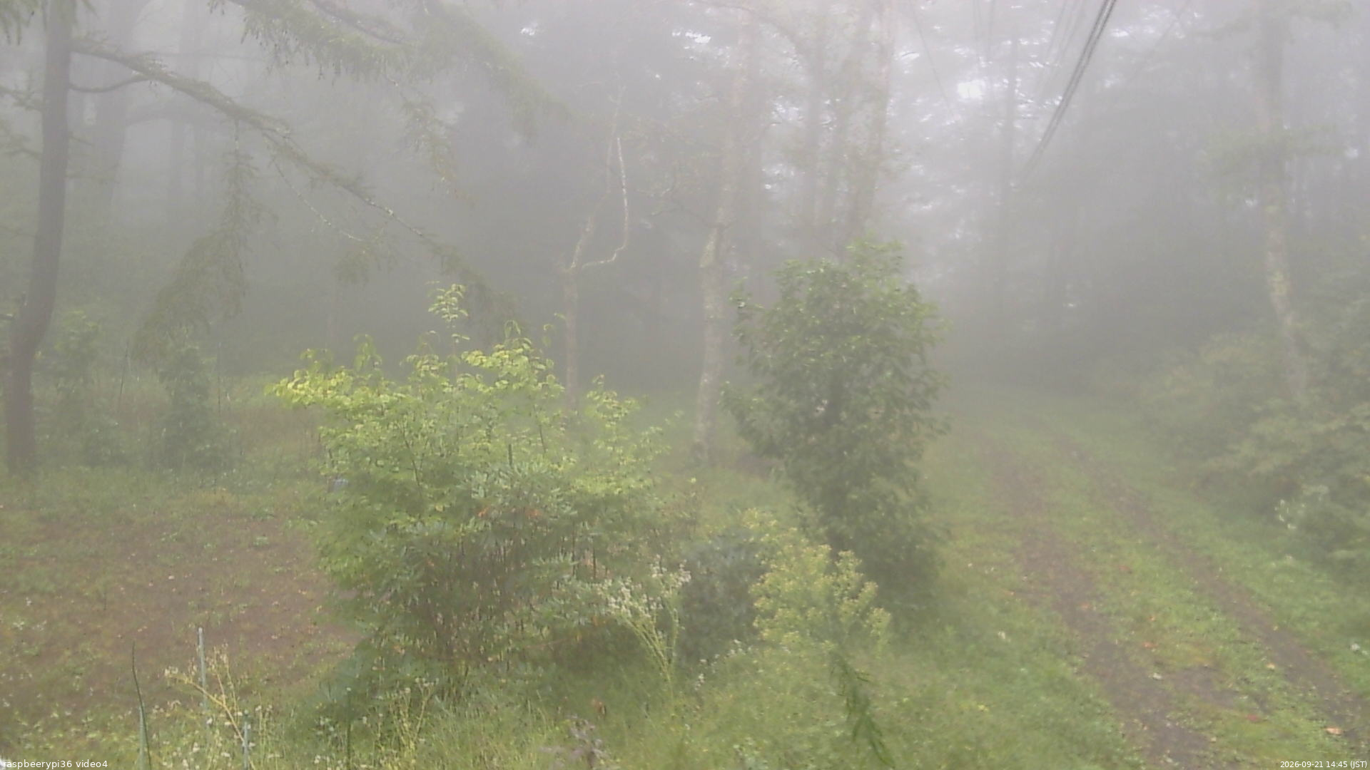 長野県菅平高原 ゆたか山荘 坂上 2026/09/21 14:45
