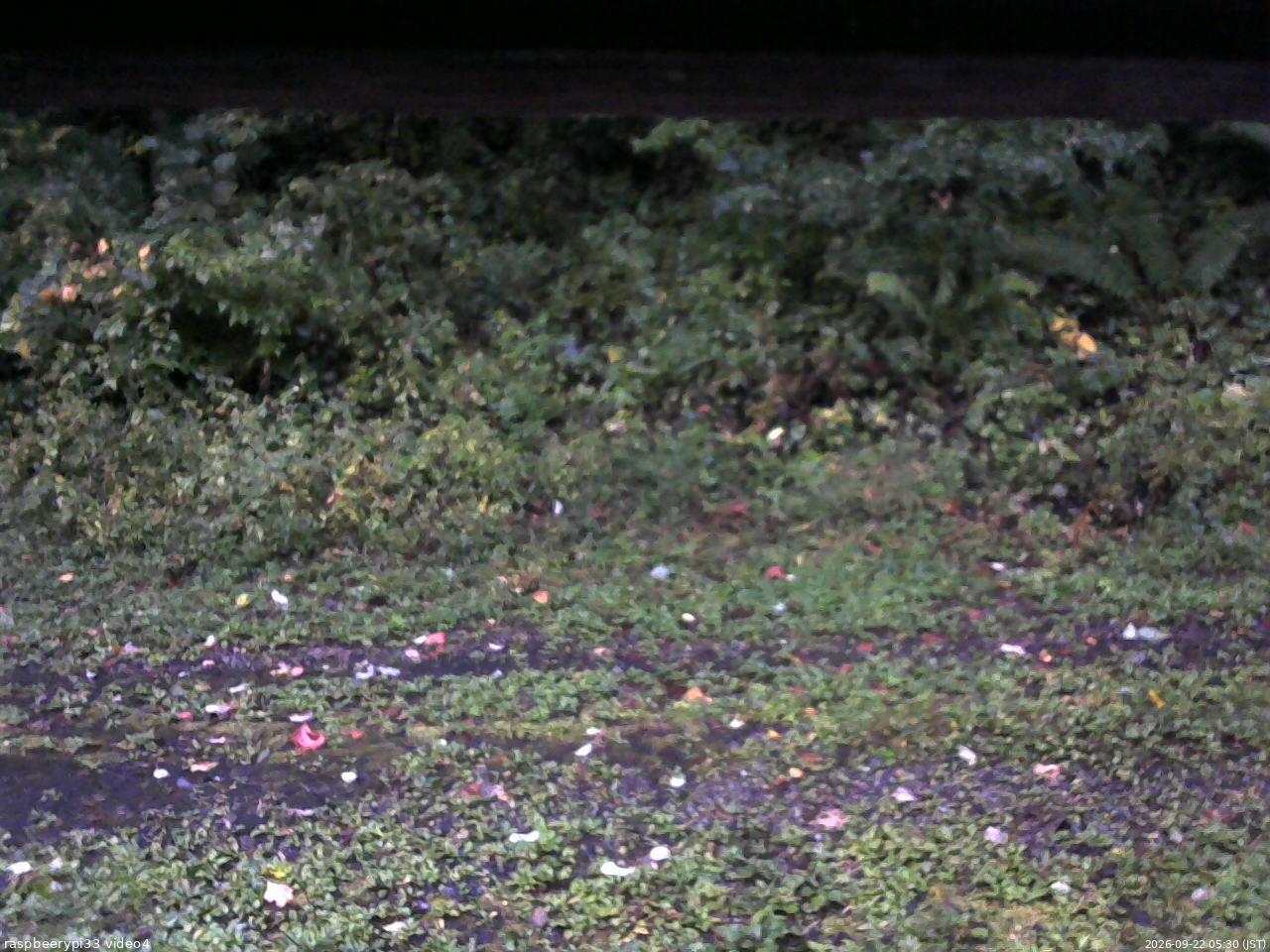 長野県菅平高原 ゆたか山荘 東側(坂下) 2026/09/22 05:30