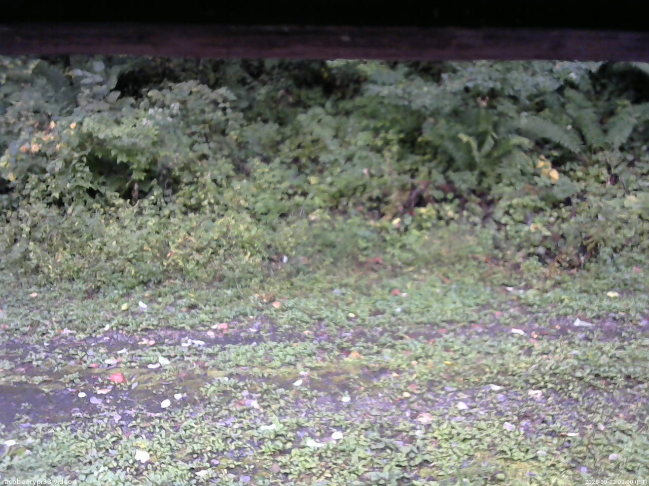 長野県菅平高原 ゆたか山荘 東側(坂下) 2026/09/22 09:00