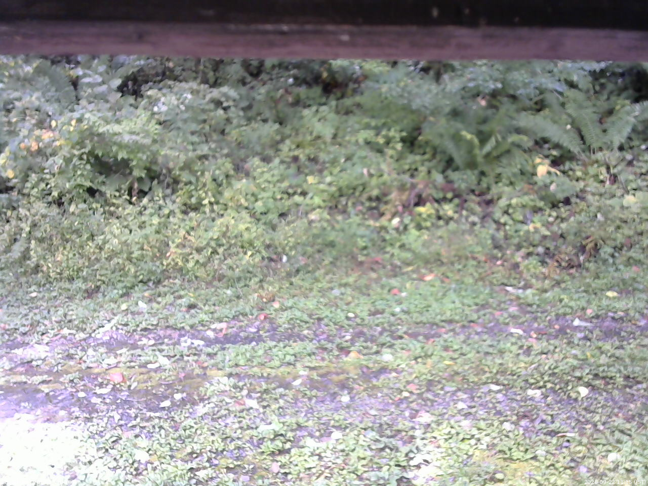 長野県菅平高原 ゆたか山荘 東側(坂下) 2026/09/22 11:15