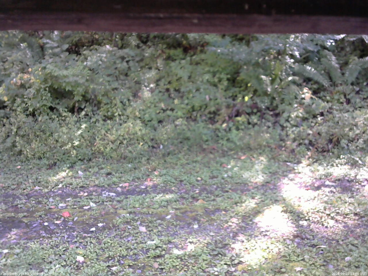 長野県菅平高原 ゆたか山荘 東側(坂下) 2026/09/22 13:00