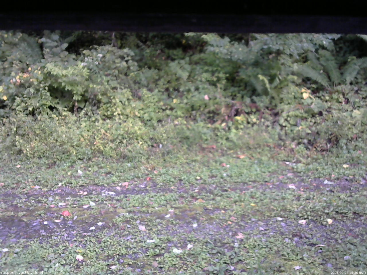 長野県菅平高原 ゆたか山荘 東側(坂下) 2026/09/22 15:30