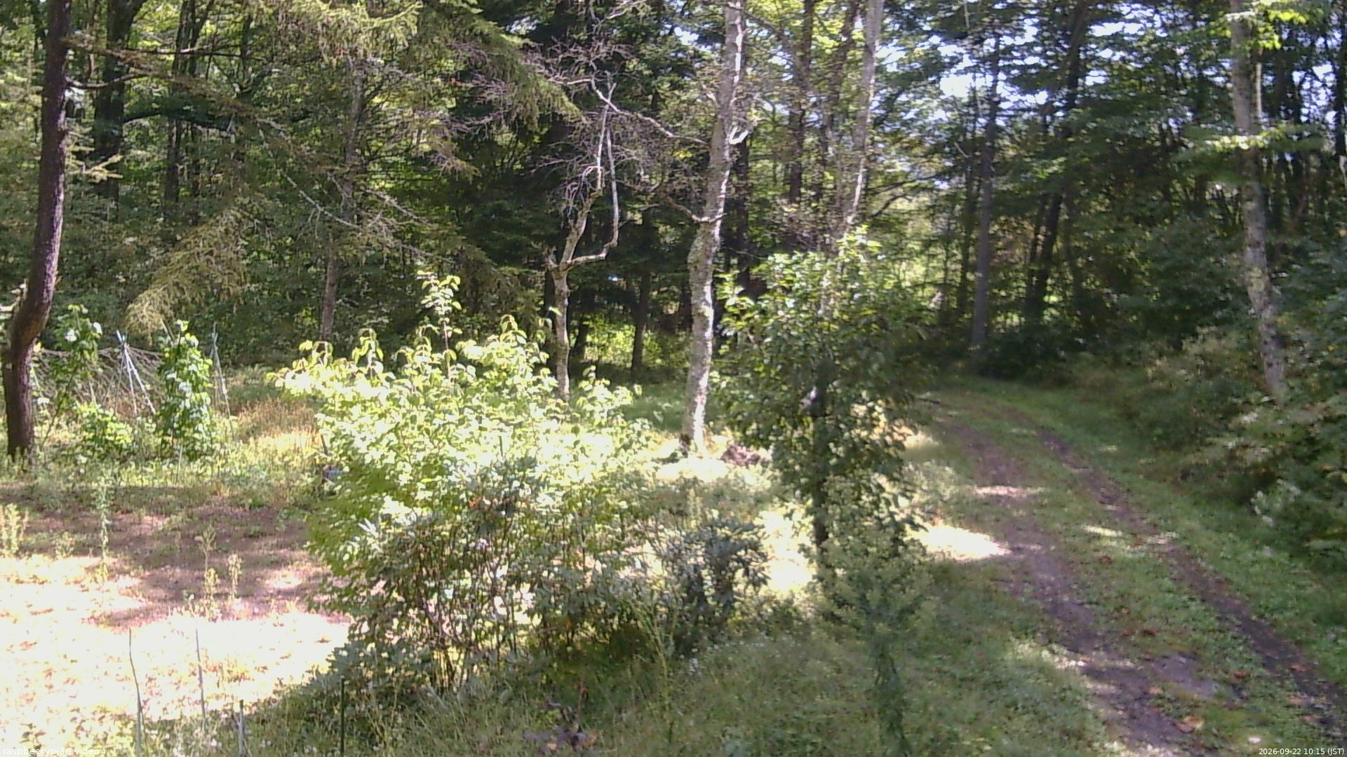 長野県菅平高原 ゆたか山荘 坂上 2026/09/22 10:15