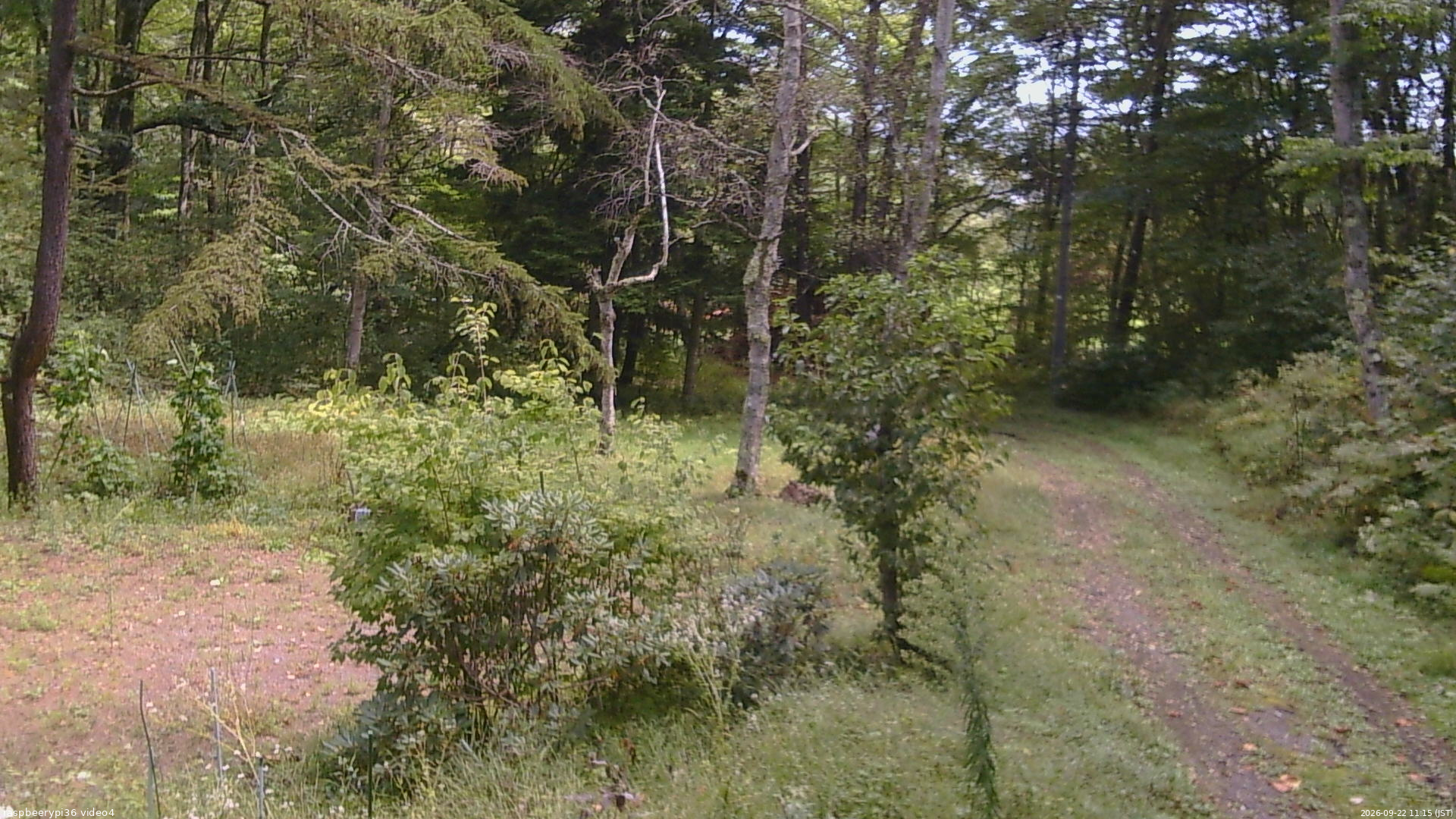 長野県菅平高原 ゆたか山荘 坂上 2026/09/22 11:15