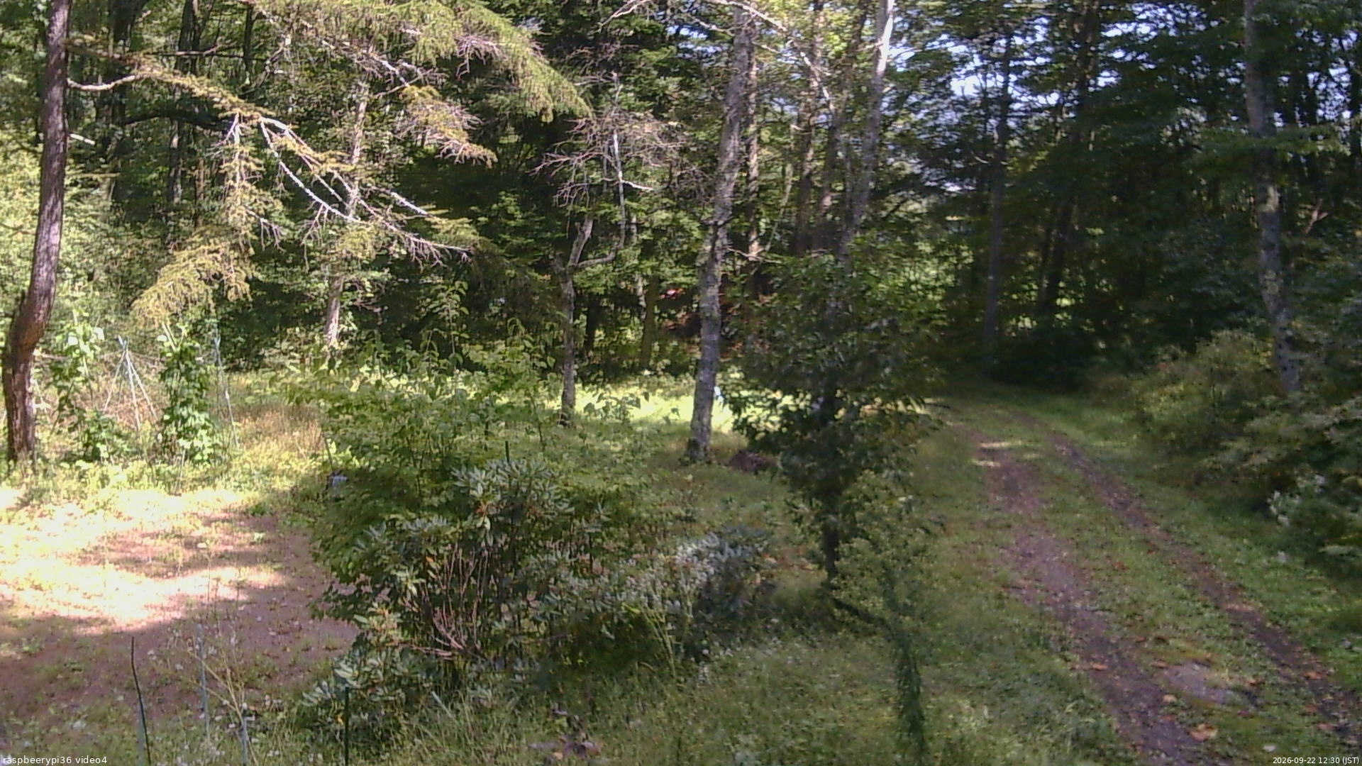 長野県菅平高原 ゆたか山荘 坂上 2026/09/22 12:30