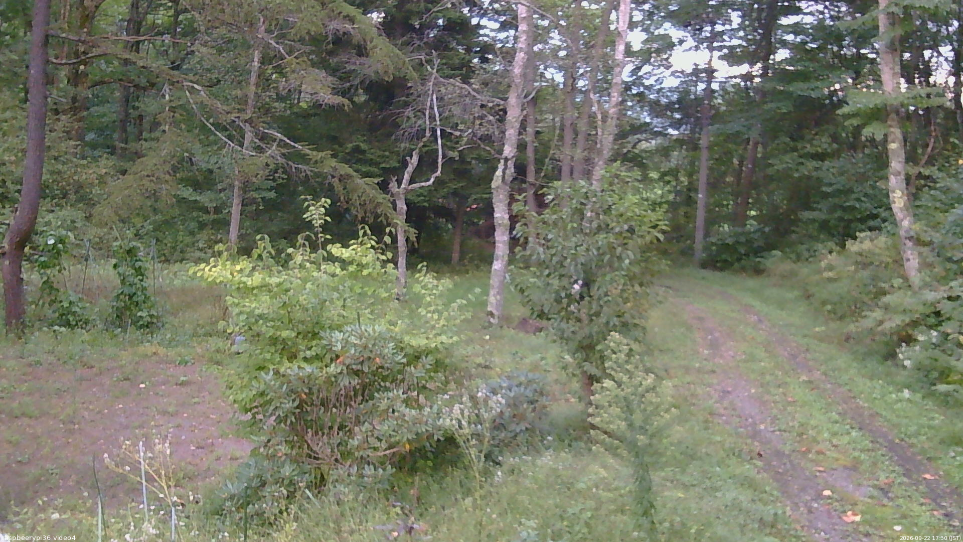 長野県菅平高原 ゆたか山荘 坂上 2026/09/22 17:30