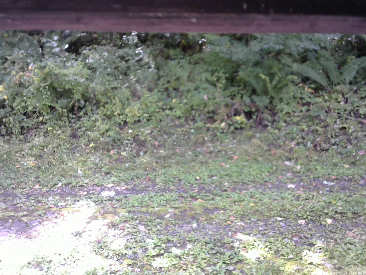長野県菅平高原 ゆたか山荘 東側(坂下) 2026/09/23 11:00