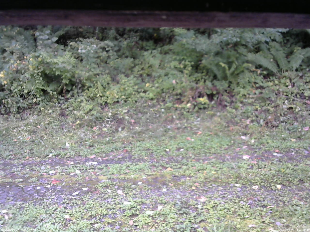 長野県菅平高原 ゆたか山荘 東側(坂下) 2026/09/23 11:45