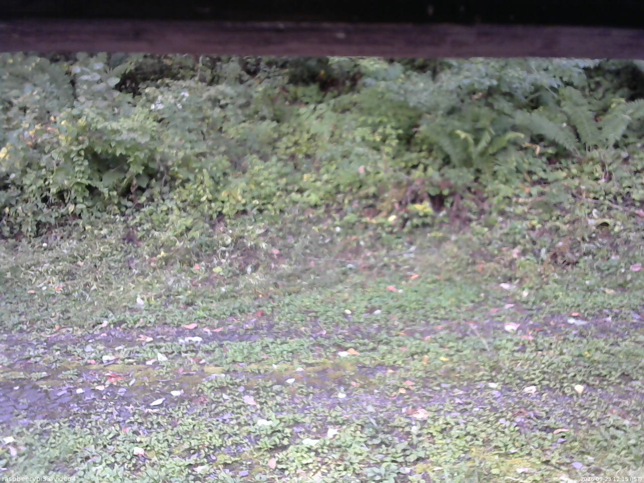 長野県菅平高原 ゆたか山荘 東側(坂下) 2026/09/23 12:15